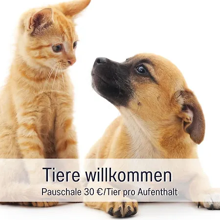 Sonnenterrasse - 3 Schlafzimmer, Whirlpool & Alpenblick - Perfekt Fuer Romantik Oder Familienurlaub Mit Kind , Hund Willkommen By Ferienwohnenamsee - Uberlingen Exterior foto