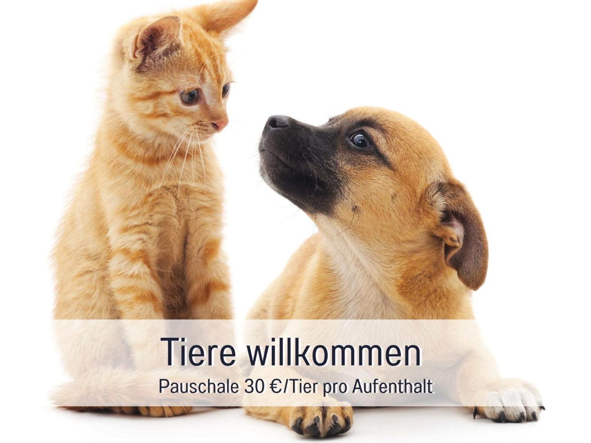 Sonnenterrasse - 3 Schlafzimmer, Whirlpool & Alpenblick - Perfekt Fuer Romantik Oder Familienurlaub Mit Kind , Hund Willkommen By Ferienwohnenamsee - Uberlingen