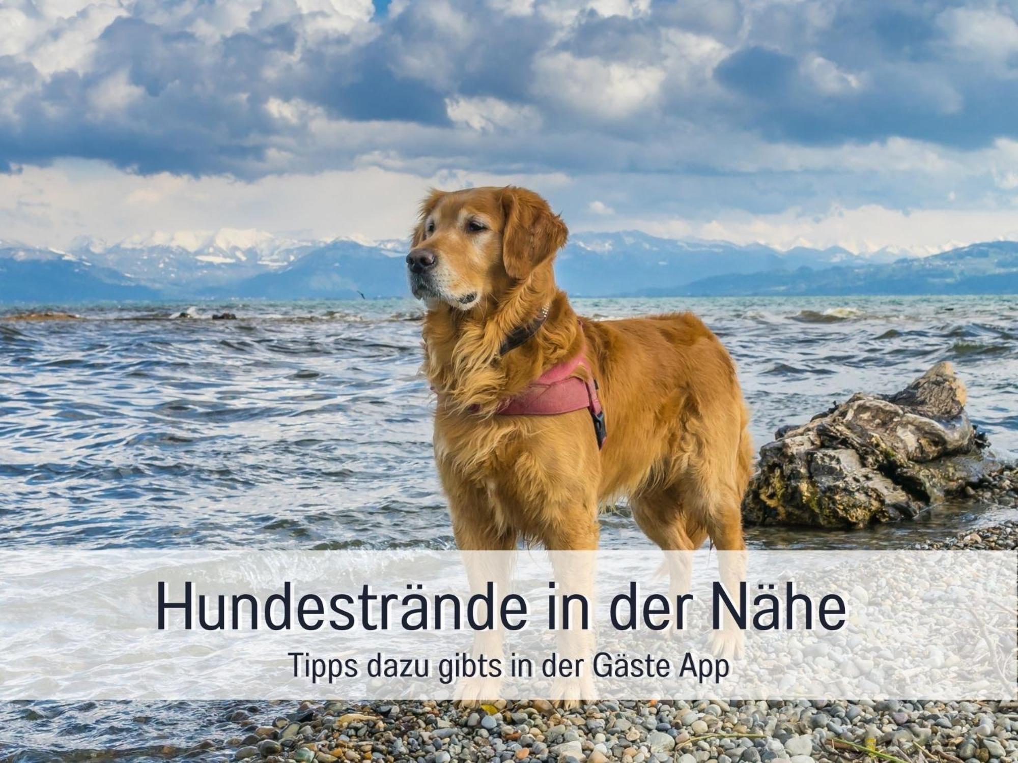 Апартаменты Sonnenterrasse - 3 Schlafzimmer, Whirlpool & Alpenblick - Perfekt Fuer Romantik Oder Familienurlaub Mit Kind , Hund Willkommen By Ferienwohnenamsee - Иберлинген