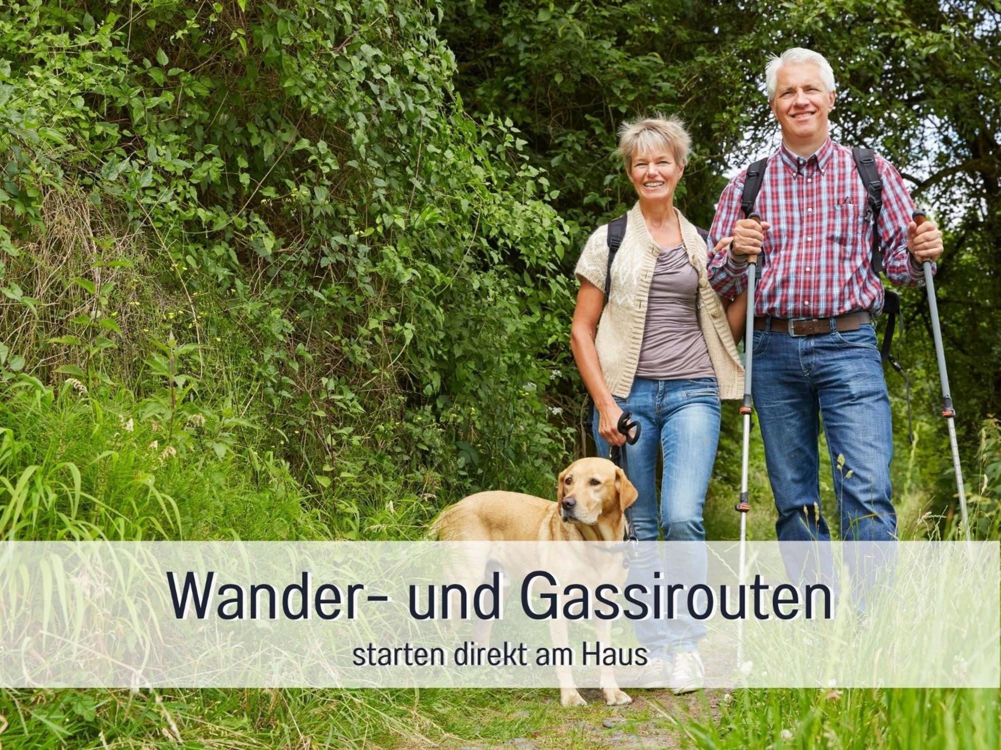 Sonnenterrasse - 3 Schlafzimmer, Whirlpool & Alpenblick - Perfekt Fuer Romantik Oder Familienurlaub Mit Kind , Hund Willkommen By Ferienwohnenamsee - Apartment Uberlingen